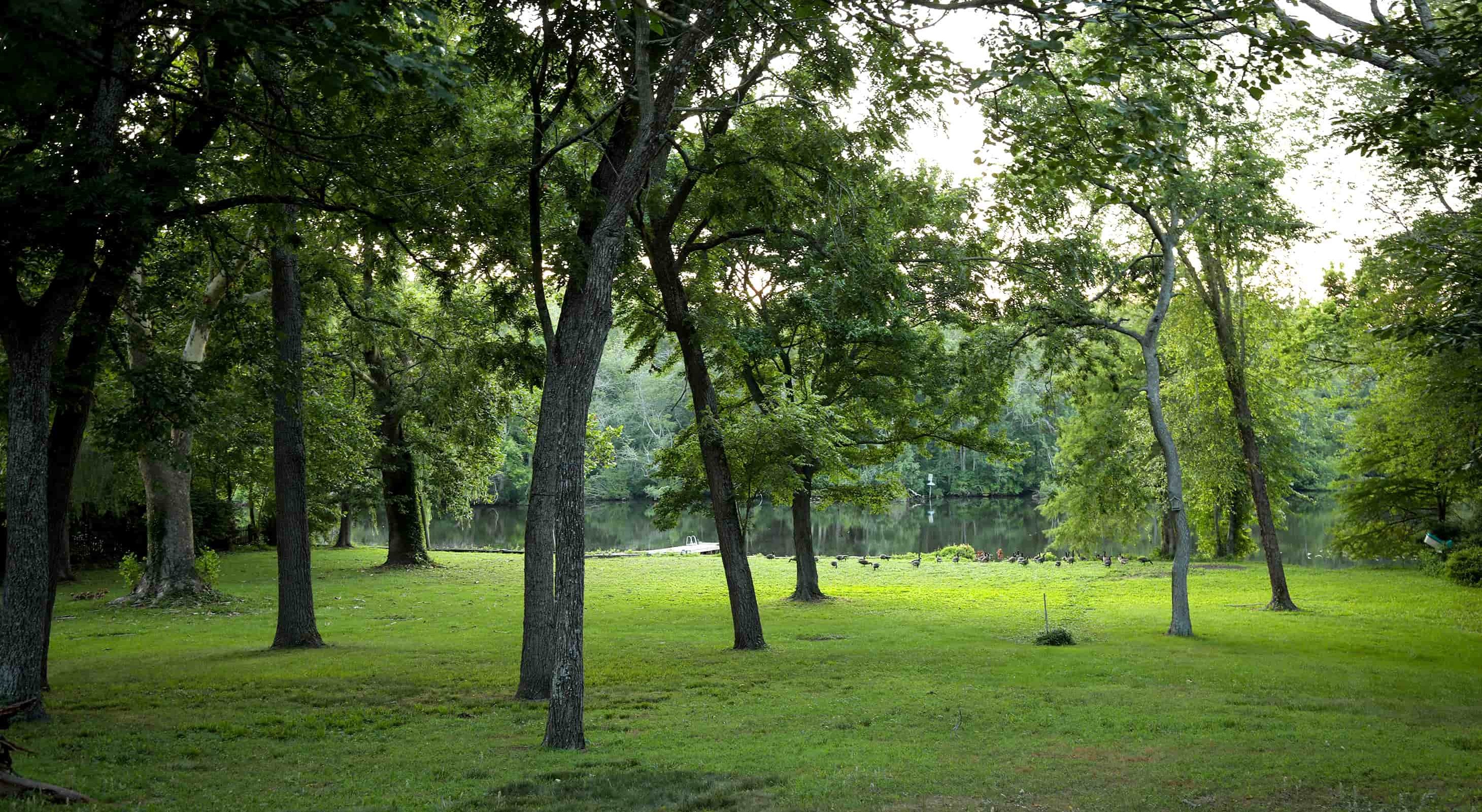 Grassy area at riverfront inn and spa in Snow Hill, MD